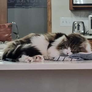 Meet your Posher, Denise